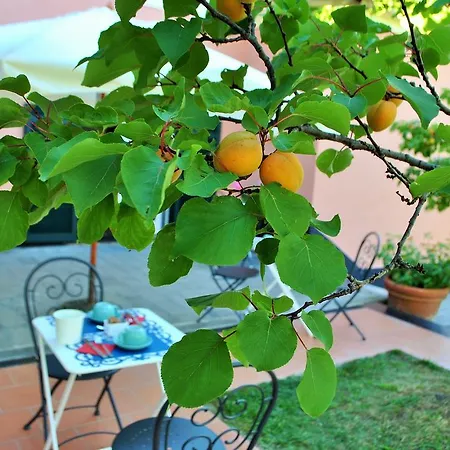L' Amandola * לבנטו