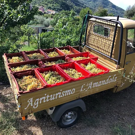 L' Amandola ليفانتو