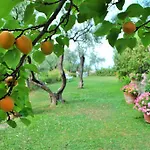 L' Amandola *