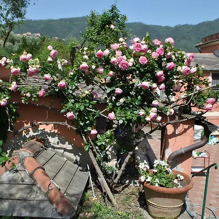 L' Amandola Alloggio per agriturismo Levanto