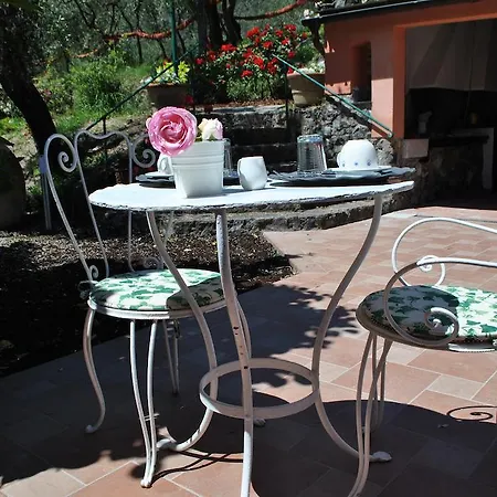 Farm stay L' Amandola Levanto