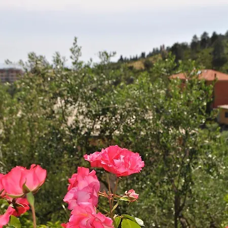 L' Amandola * Levanto