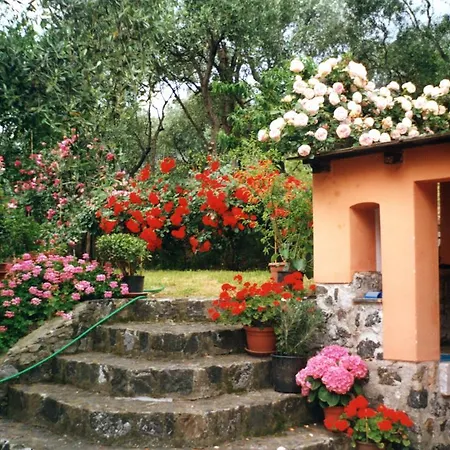 L' Amandola