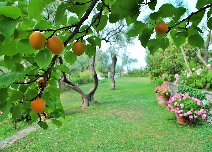 L' Amandola *