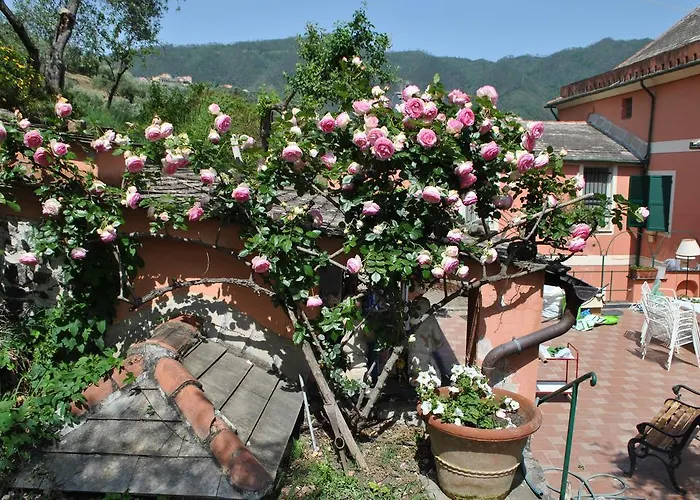L' Amandola Farm stay Levanto