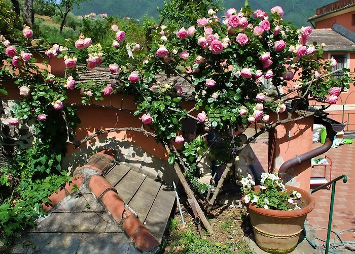 L' Amandola *